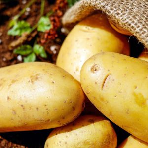 potatoes-1585060_1920